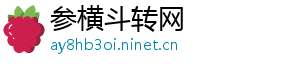 参横斗转网